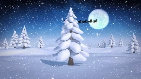 Animation-of-santa-claus-in-sleigh-with-reindeer-over-fir-trees,-snow-falling-and-moon