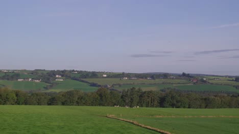 Grüne-Felder-Irlands