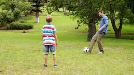 Vater-Und-Sohn-Kicken-Im-Park-Einen-Fußball-Hin-Und-Her