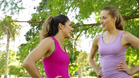 Fitness-friends-talking-before-working-out-in-the-park