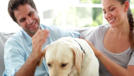 Happy-couple-petting-their-labrador-dog-on-the-couch