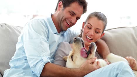 Cute-couple-petting-their-labrador-dog-on-the-couch