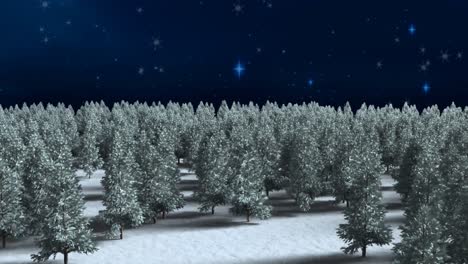 Nieve-Cayendo-Sobre-Varios-árboles-En-El-Paisaje-Invernal-Contra-Estrellas-Brillantes-Sobre-Fondo-Azul