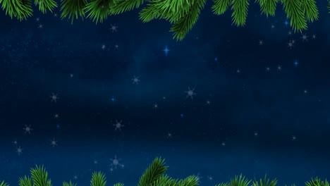 Animation-of-snow-falling-with-fir-tree-branches-and-copy-space-over-stars-and-night-sky