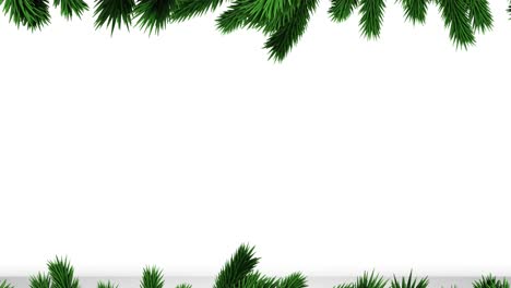 Grüne-Weihnachtsbaumzweige-Mit-Kopierraum-Auf-Weißem-Hintergrund