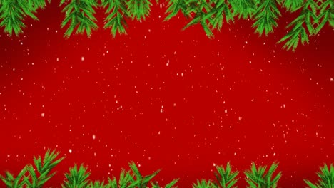 Animation-of-snow-falling-over-christmas-tree-branches-on-red-background