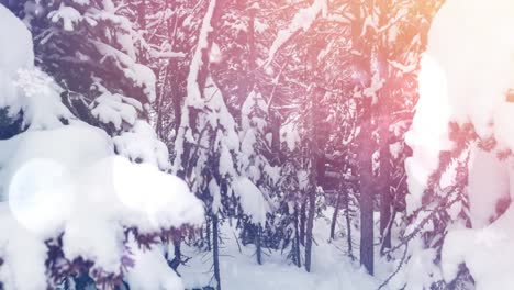 Spot-of-light-against-snow-covered-trees-on-winter-landscape