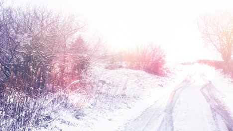 Spots-of-light-against-snow-covered-trees-and-road-on-winter-landscape