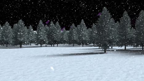 Schnee-Fällt-über-Mehrere-Bäume-In-Der-Winterlandschaft-Vor-Violetten-Lichtspuren-Auf-Schwarzem-Hintergrund
