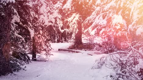 Manchas-De-Luz-Y-Nieve-Cayendo-Sobre-Varios-árboles-En-El-Paisaje-Invernal.