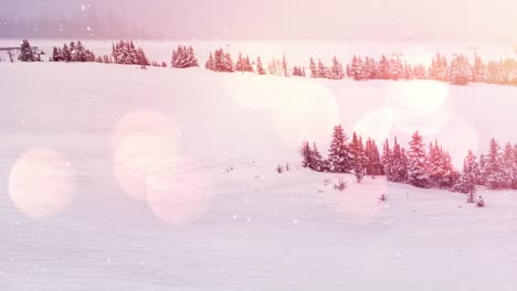 Spots-of-light-against-snow-falling-over-multiple-trees-on-winter-landscape