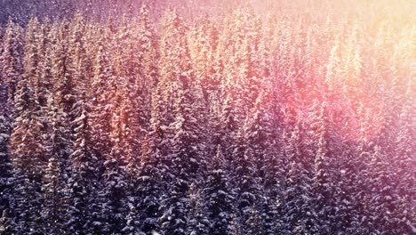 Animation-of-spots-of-light-over-snow-falling-and-winter-landscape