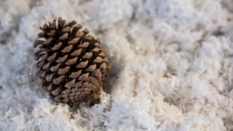Animation-of-snow-falling-over-pine-cone