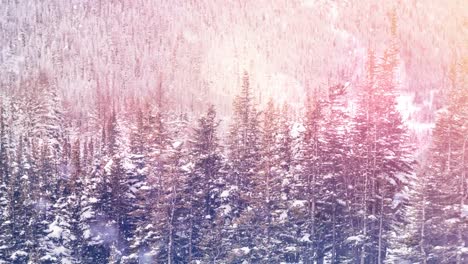 Animation-of-snow-falling-and-spot-lights-over-winter-scenery-with-fir-trees
