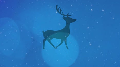 Light-spots-and-snow-falling-over-silhouette-of-reindeer-walking-against-blue-background