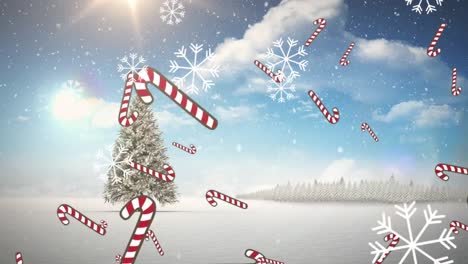 Multiple-candy-cane-icons-and-snowflakes-falling-over-christmas-tree-on-winter-landscape