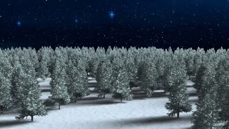 Snow-falling-over-multiple-trees-on-winter-landscape-against-shining-stars-in-night-sky
