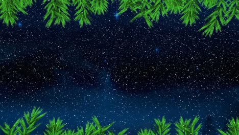 Weihnachtsbaumzweige-über-Schnee,-Der-Gegen-Blau-Leuchtende-Sterne-Am-Nachthimmel-Fällt