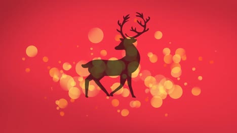 Animation-Von-Rentieren-über-Lichtern-Auf-Rotem-Hintergrund