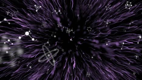 Animation-of-network-of-connections-falling-over-purple-fireworks-on-black-background