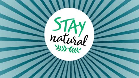Animation-of-stay-natural-text-and-leaves-logo-on-blue-striped-background