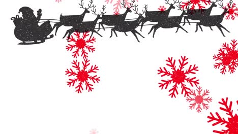 Rote-Schneeflocken-Fallen-über-Den-Weihnachtsmann-Im-Schlitten,-Der-Von-Rentieren-Vor-Weißem-Hintergrund-Gezogen-Wird