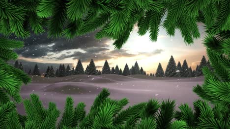 Weihnachtsbaumzweige-Gegen-Schnee,-Der-über-Mehrere-Bäume-In-Der-Winterlandschaft-Fällt