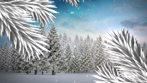 White-christmas-tree-branches-against-snow-falling-over-multiple-trees-on-winter-landscape