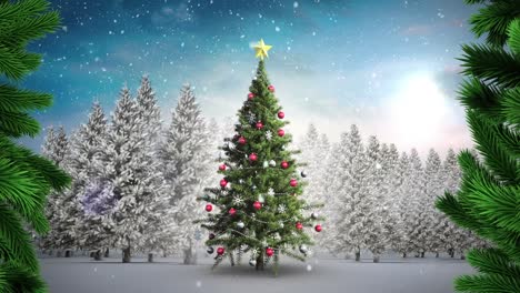 Baumzweige-Gegen-Schnee,-Der-über-Den-Weihnachtsbaum-In-Der-Winterlandschaft-Fällt