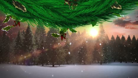 Animation-Von-Tannenzweigen-über-Einem-Tannenbaum-In-Der-Winterlandschaft