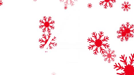 Digitale-Animation-Des-Countdowns-über-Rote-Schneeflocken-Symbole,-Die-Vor-Weißem-Hintergrund-Fallen