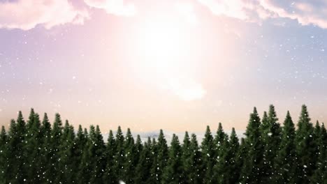 Snow-falling-over-multiple-trees-on-winter-landscape-against-clouds-in-the-sky