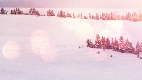 Lichtflecken-Und-Schnee-Fallen-über-Die-Winterlandschaft-Mit-Bäumen