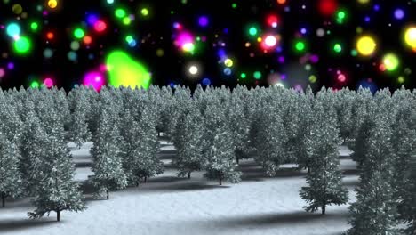 Animation-of-glowing-spots-of-light-over-fir-trees-in-winter-scenery