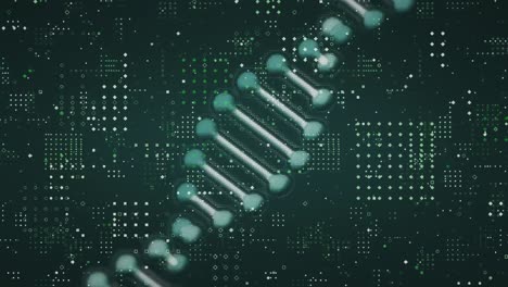 Digitale-Animation-Der-DNA-Struktur,-Die-Sich-über-Punktmusterdesign-Vor-Grünem-Hintergrund-Dreht