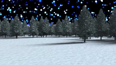Multiple-trees-on-winter-landscape-against-blue-spots-of-light-floating-on-black-background