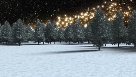 Multiple-trees-on-winter-landscape-against-shooting-star-on-black-background