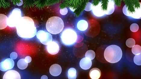 Weihnachtsbaumzweige-über-Bunten-Lichtflecken,-Die-Vor-Schwarzem-Hintergrund-Schweben
