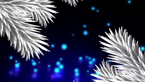 Weiße-Weihnachtsbaumzweige-über-Blauen-Lichtflecken,-Die-Vor-Schwarzem-Hintergrund-Fallen