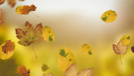 Animation-Von-Blättern,-Die-über-Die-Herbstfarbenlandschaft-Fallen