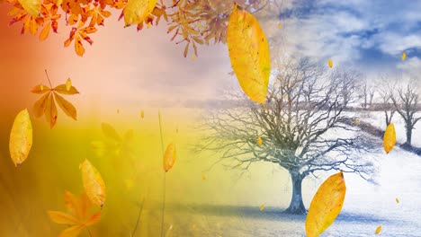 Animation-of-leaves-falling-over-autumn-and-winter-scenery