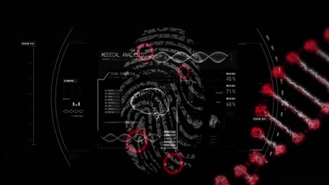 Animation-Der-Datenverarbeitung-Und-Des-DNA-Strangs,-Der-Sich-über-Den-Biometrischen-Fingerabdruck-Dreht