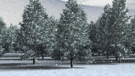 Schnee-Fällt-über-Mehrere-Bäume-In-Der-Winterlandschaft-Vor-Weißem-Hintergrund