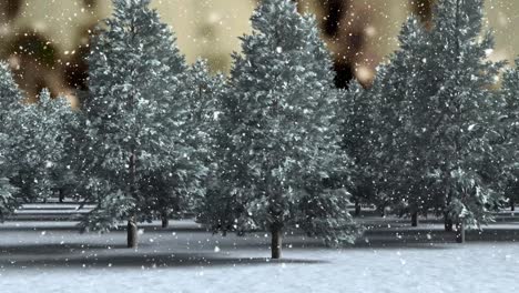 Schnee-Fällt-über-Die-Winterlandschaft-Mit-Mehreren-Bäumen-Gegen-Den-Himmel