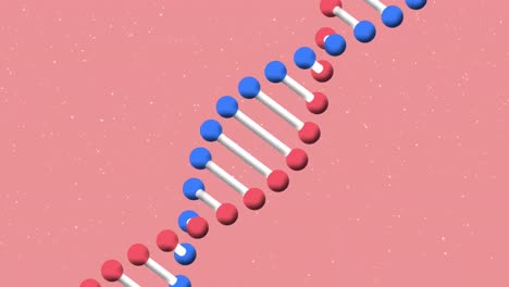 Animation-of-dna-strand-spinning-over-snow-falling-on-pink-background