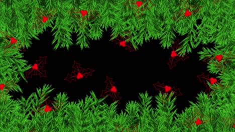Animation-of-holly-on-a-black-background