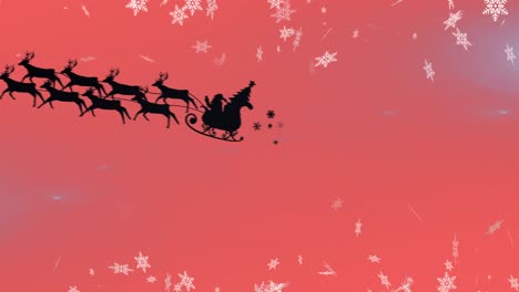 Animation-of-santa-claus-in-sleigh-with-reindeer-over-snow-falling-on-red-background