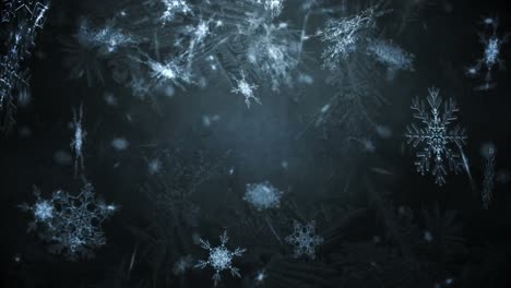 Animation-of-snowflakes-falling-on-black-background