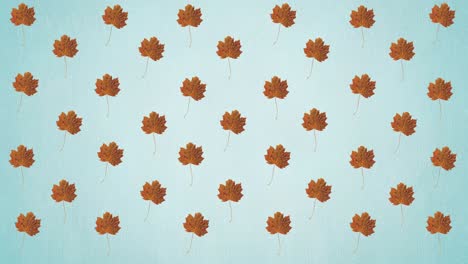 Animation-of-rows-of-autumn-orange-leaves-on-blue-background