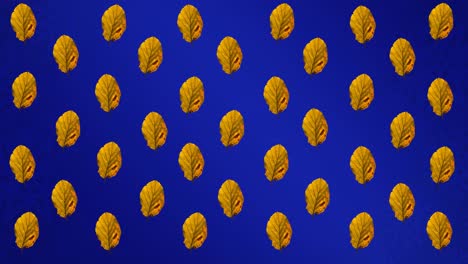Animation-of-rows-of-autumn-yellow-leaves-on-blue-background
